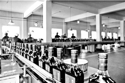 鴻茅藥酒生產線圖片來源/鴻茅集團官網