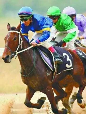 覃勇策騎“火鳳凰”參加第十一屆中國·武漢國際賽馬節