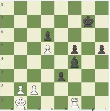 雙方弈至47回合，白方這裡走48、c4，（不能48、Rf4？？e2 黑勝。）