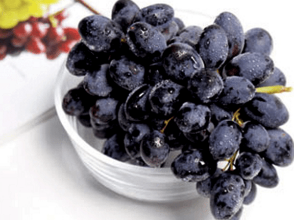 黑加侖 黑葡萄 桑葚 黑色水果