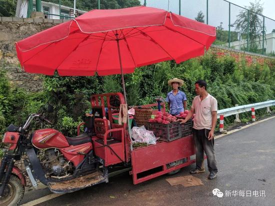 種植戶公路邊上擺攤賣自家種植的火龍果。本報記者張典標攝