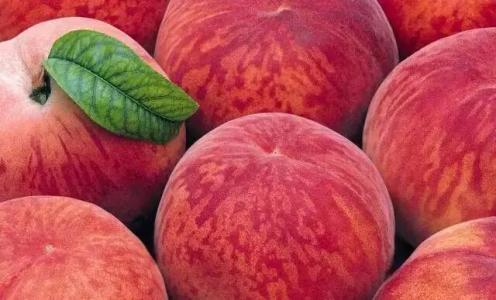 桃子有補益氣血預防便秘的功效