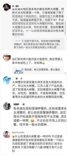 網友評價陽澄湖大閘蟹假貨為患的現象。來源：網絡截圖