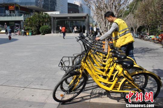 深圳使用信用免押金騎行的小黃車用戶超過50%。鍾欣 攝