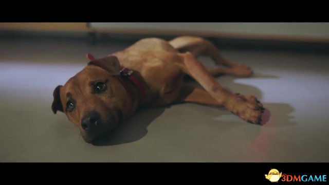 育碧《孤島驚魂5》新實景宣傳影片展示乖乖狗狗