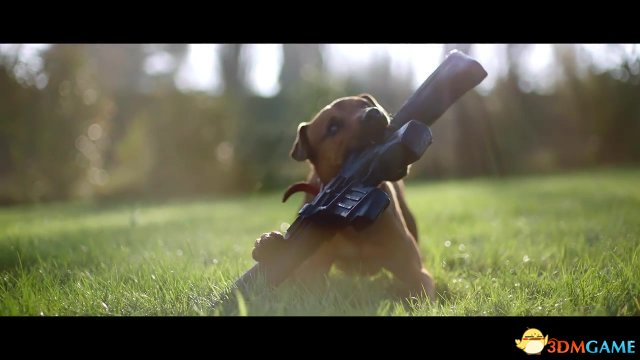育碧《孤島驚魂5》新實景宣傳影片展示乖乖狗狗