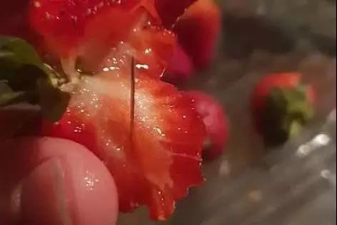 ▲藏針的草莓 （圖源：每日郵報）