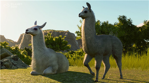 《動物園之星》全新DLC發售 入駐美洲豹等五種南美動物